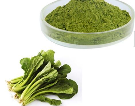Spinach Extract-2