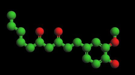 Gingerol Gingerol