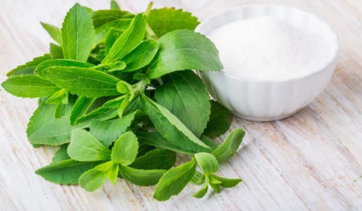 Stevia Glycerite vs Stevia Powder