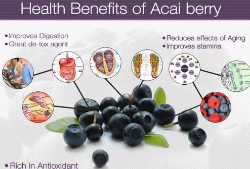 bulk acai powder benefits