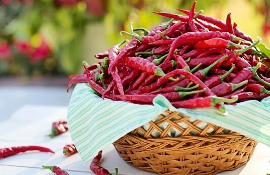 capsaicin benefits bodybuilding