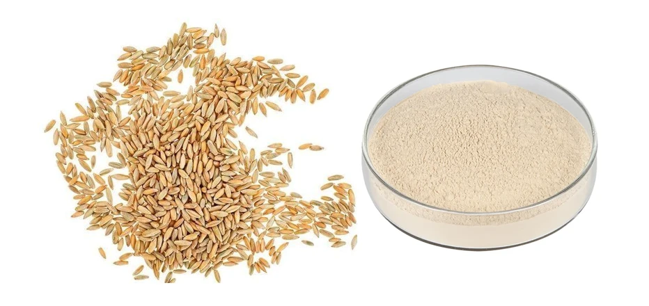 Ohran beetaglukaani: Mitä sinun täytyy tietää