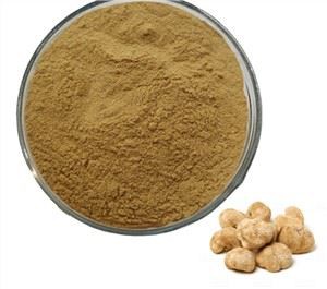 Lions Mane Sieni Uute