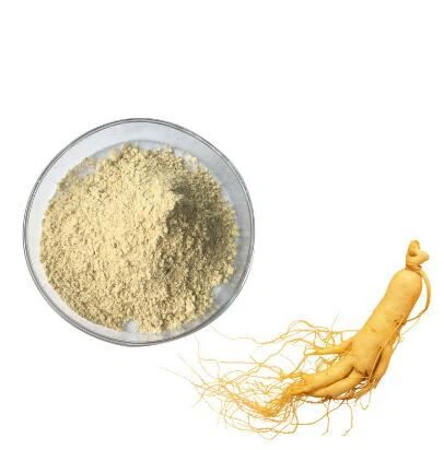 Kiinan ginseng-uute