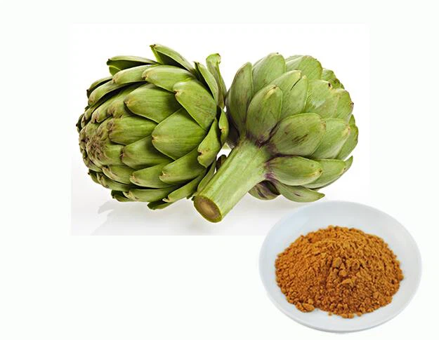 Cynara Scolymus -uute