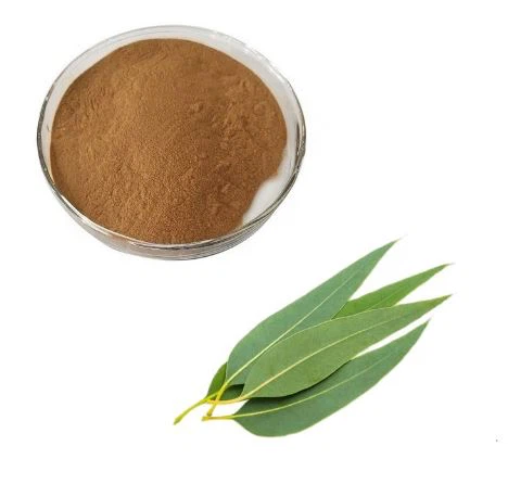 Eukalyptus uute