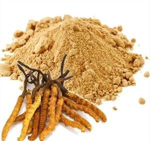 Cordyceps Sinensis -jauhe