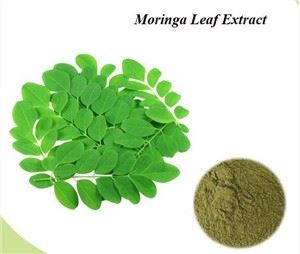 Moringa -lehtiuute