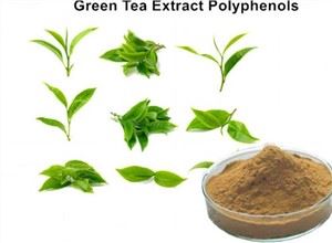 Tee-polyfenolit