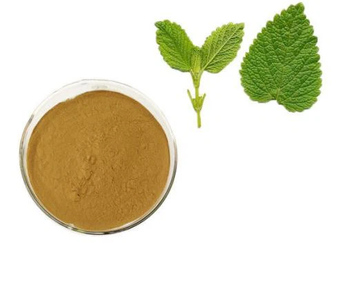 Melissa Officinalis -lehtiuute