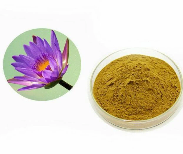 Powder Blue Lotus