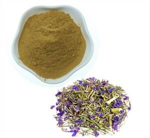 Lithospermum Erythrorhizon -uute