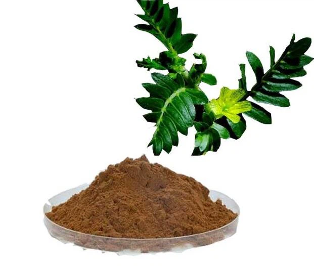 Tribulus Terrestris Saponins